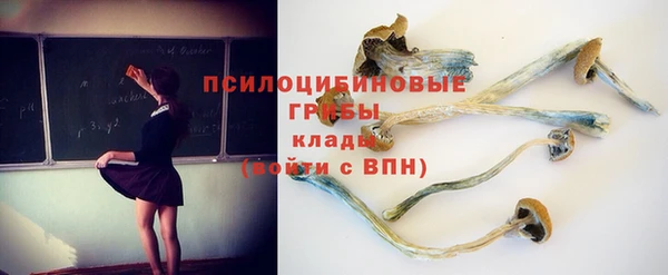 прущая мука Володарск